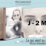 Le grand roman des féminismes … prochainement.