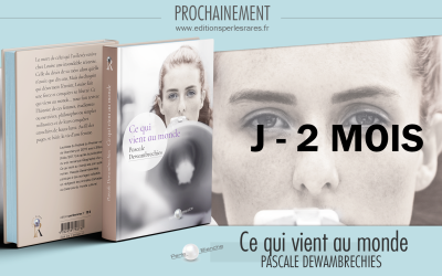 Le grand roman des féminismes … prochainement.