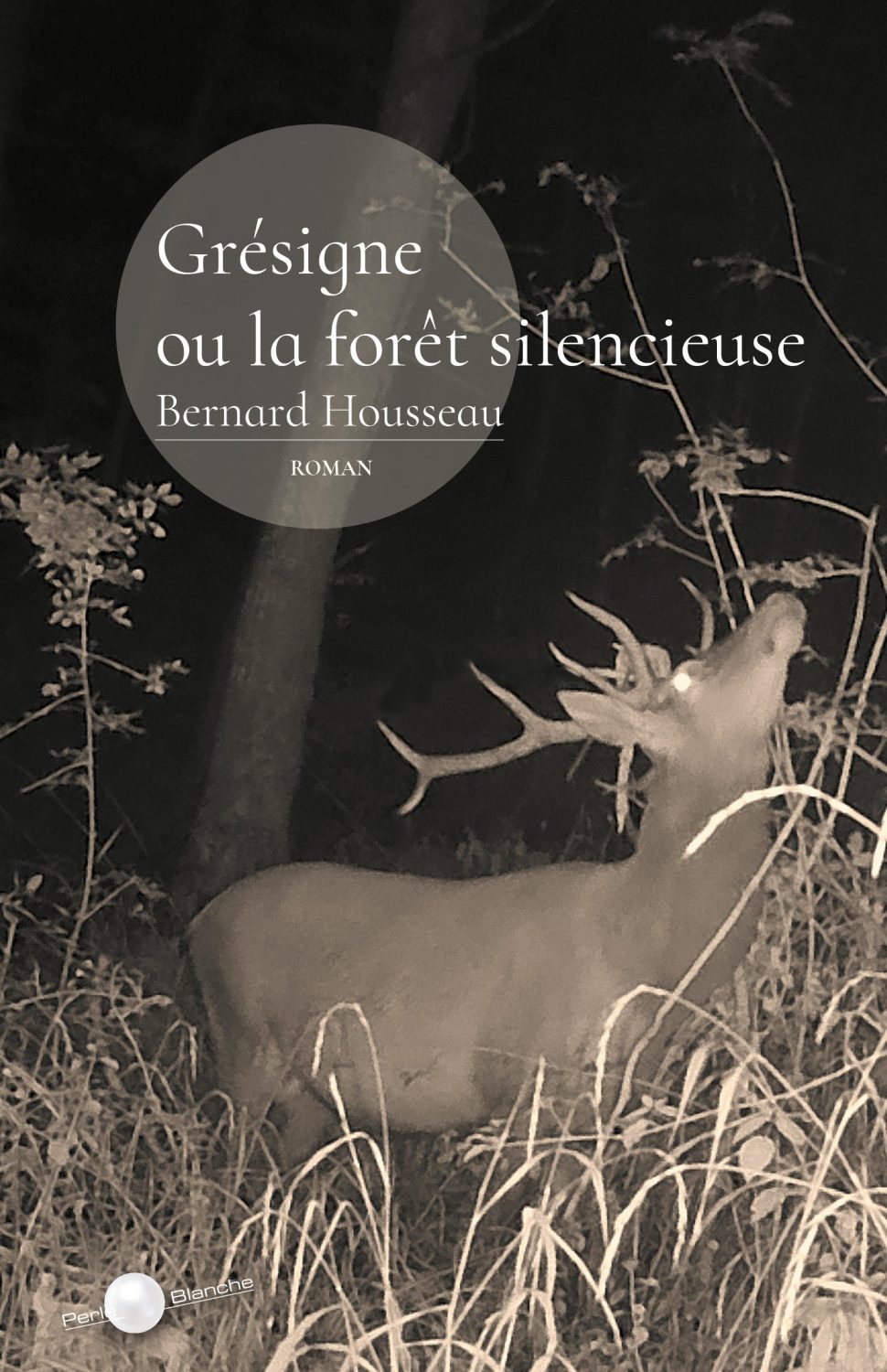 Grésigne ou la forêt silencieuse
