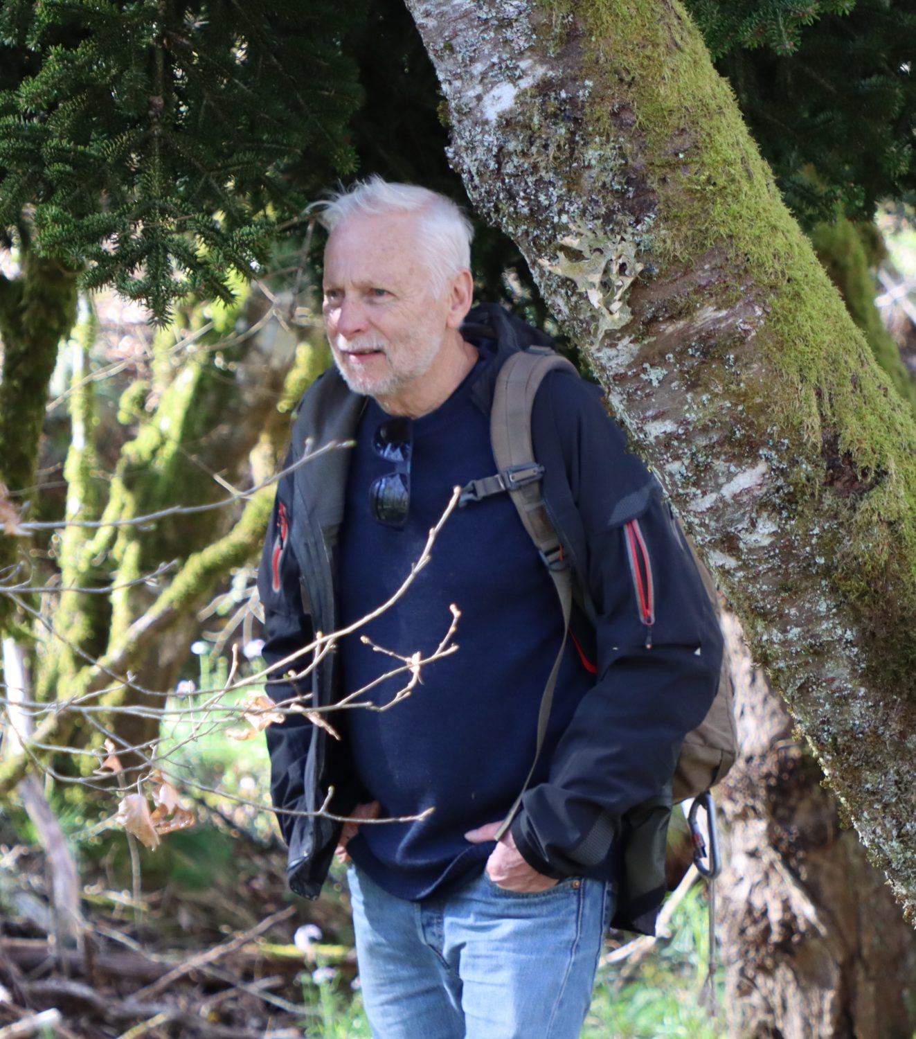 Bernard Housseau
