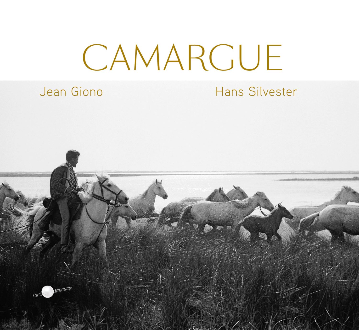 Camargue